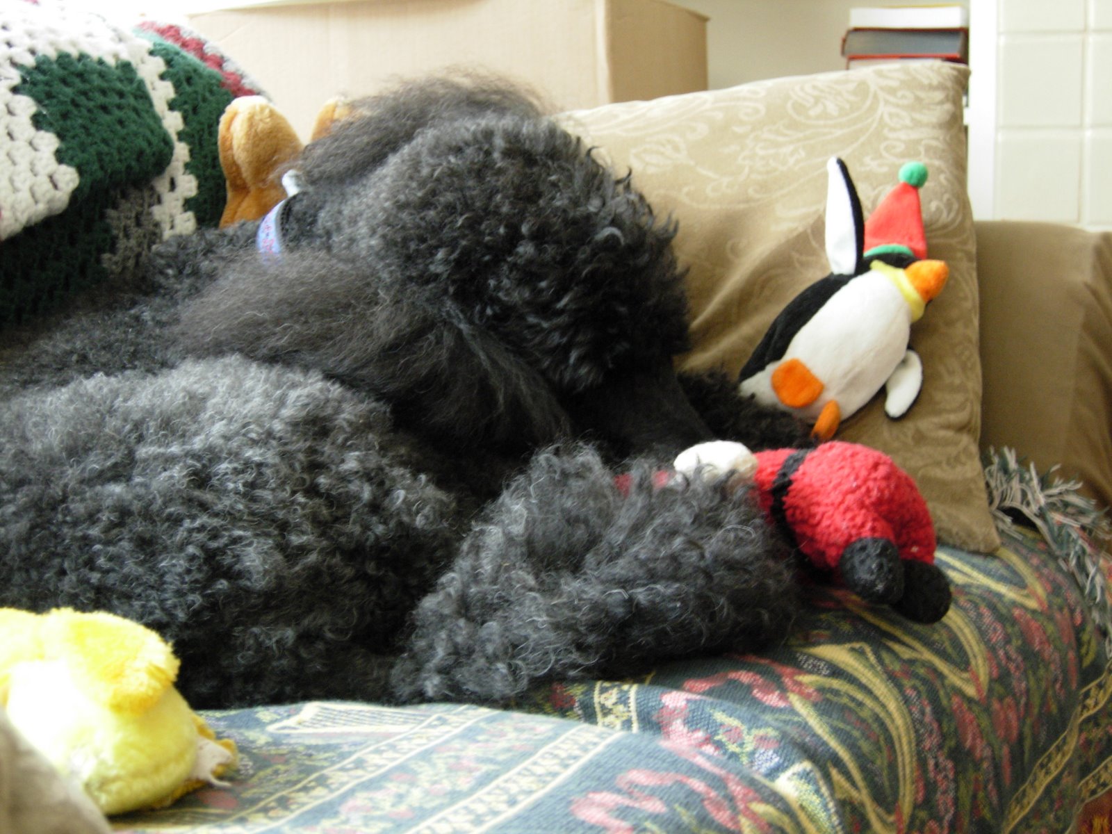 [Sleeping.2.JPG]
