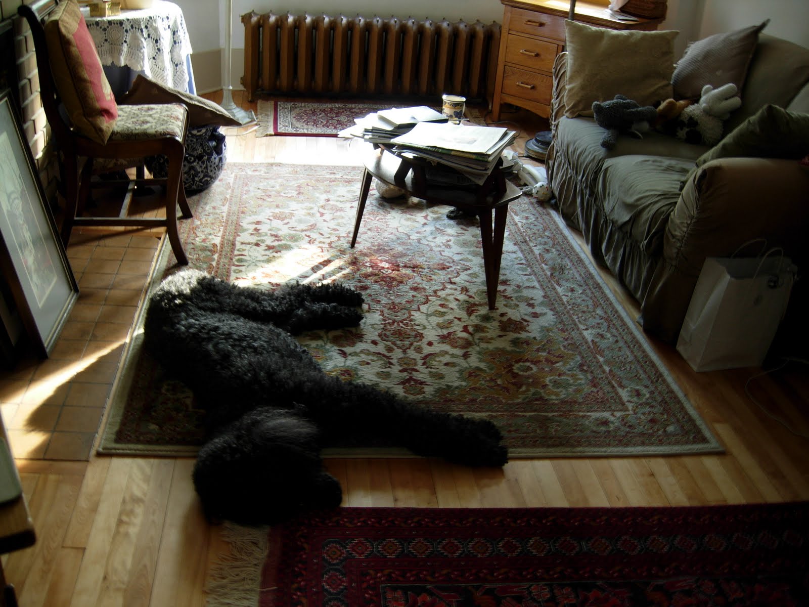 [sleeping.88.JPG]