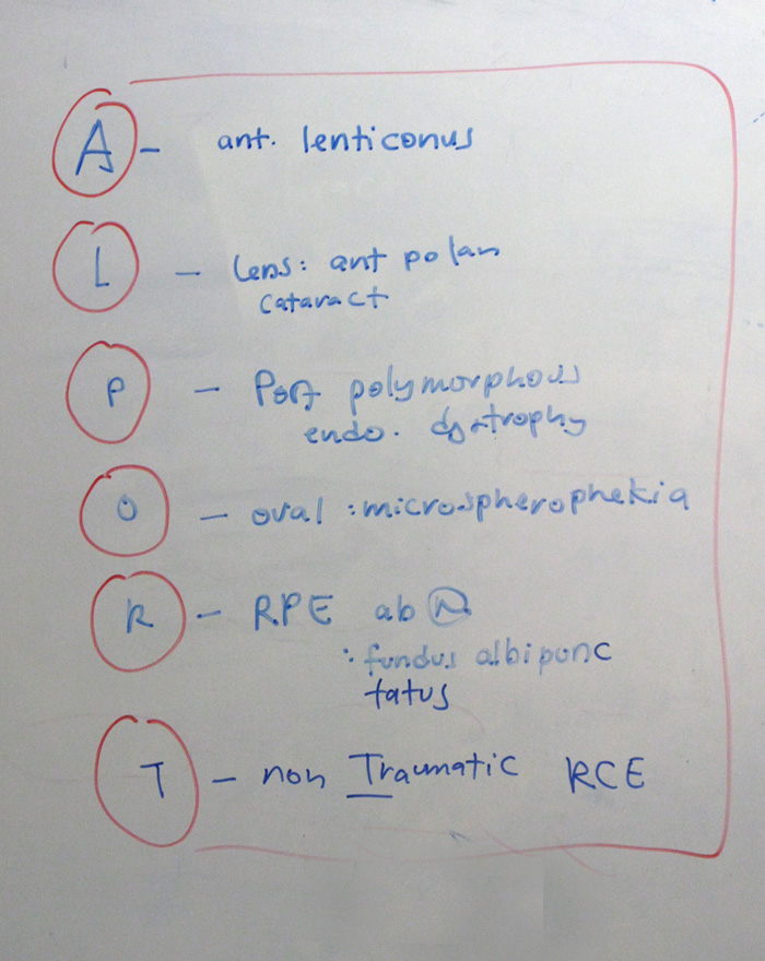 UKM Ophthal Part 2 2010 Alport Syndrome