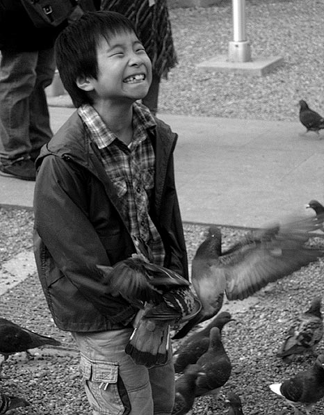 [nagoya+boy+pigeons.jpg]