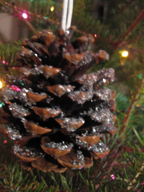 [IMG_4152.JPG]