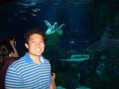 Su Jok Kwan (Aquarium) at COEX Mall and turtle