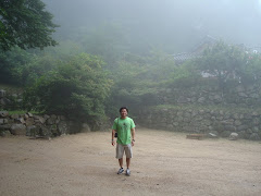Through the mist at Seokguram