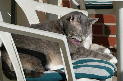 The Greenbelt March 2015