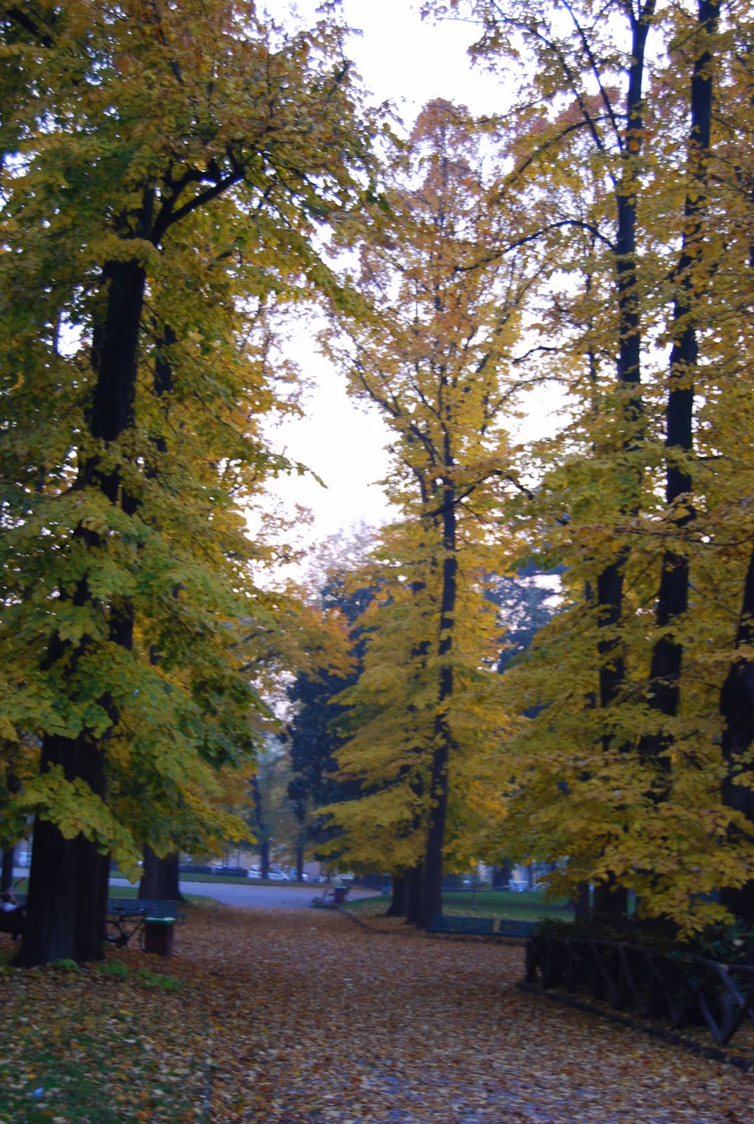 [DSC_0530.JPG]