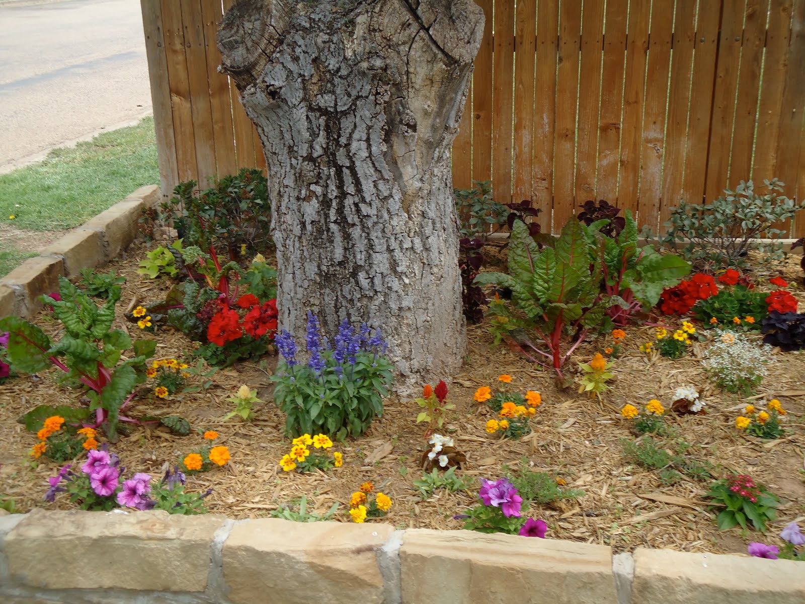 CC DESIGNS: Front Yard Flowerbed