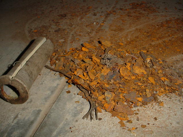 [DSC09812.JPG]
