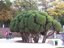 El cerebro del Retiro