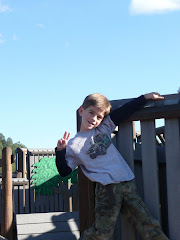 Mac is quite the little monkey at the playground on the monkey bars.