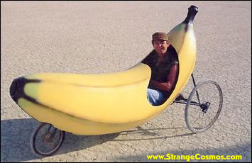 [meals+on+wheels+-+3.gif]