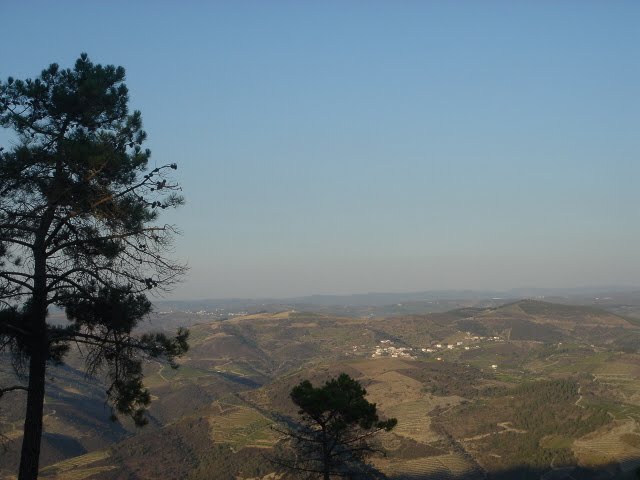 [DSC09015.JPG]