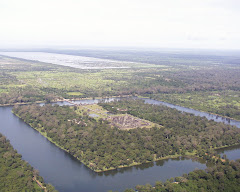 Angkor Wat View From Top