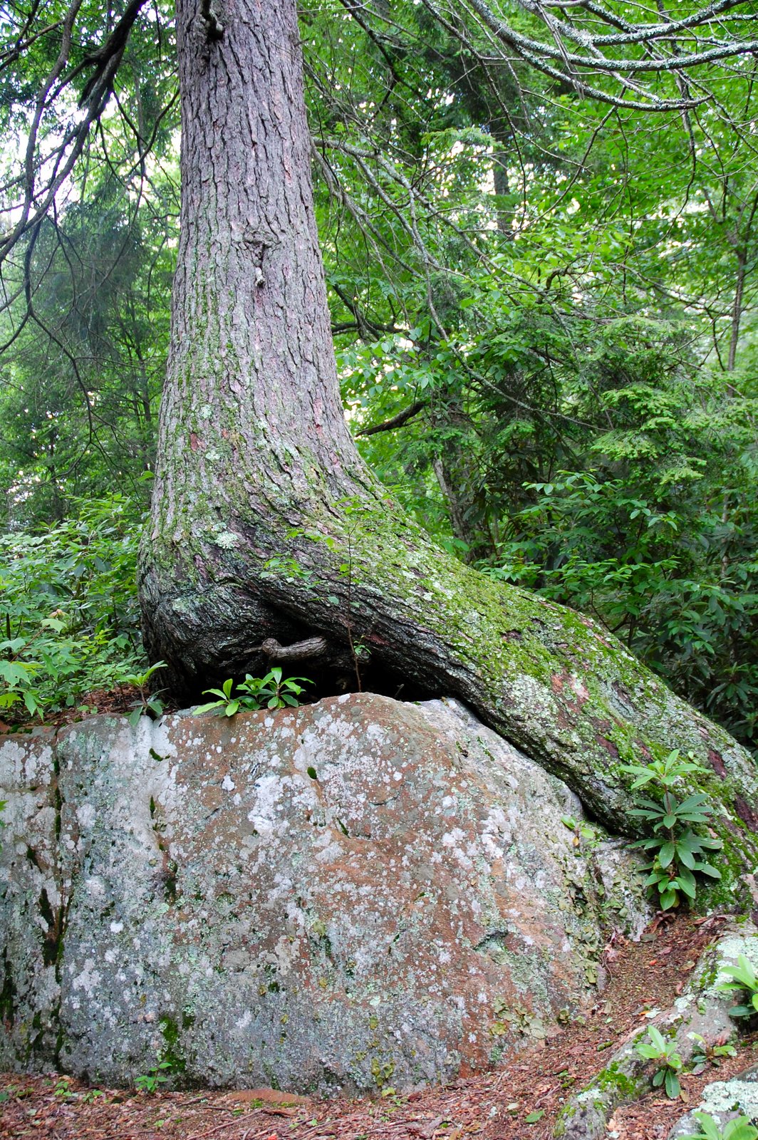 [DSC_0084.jpg]