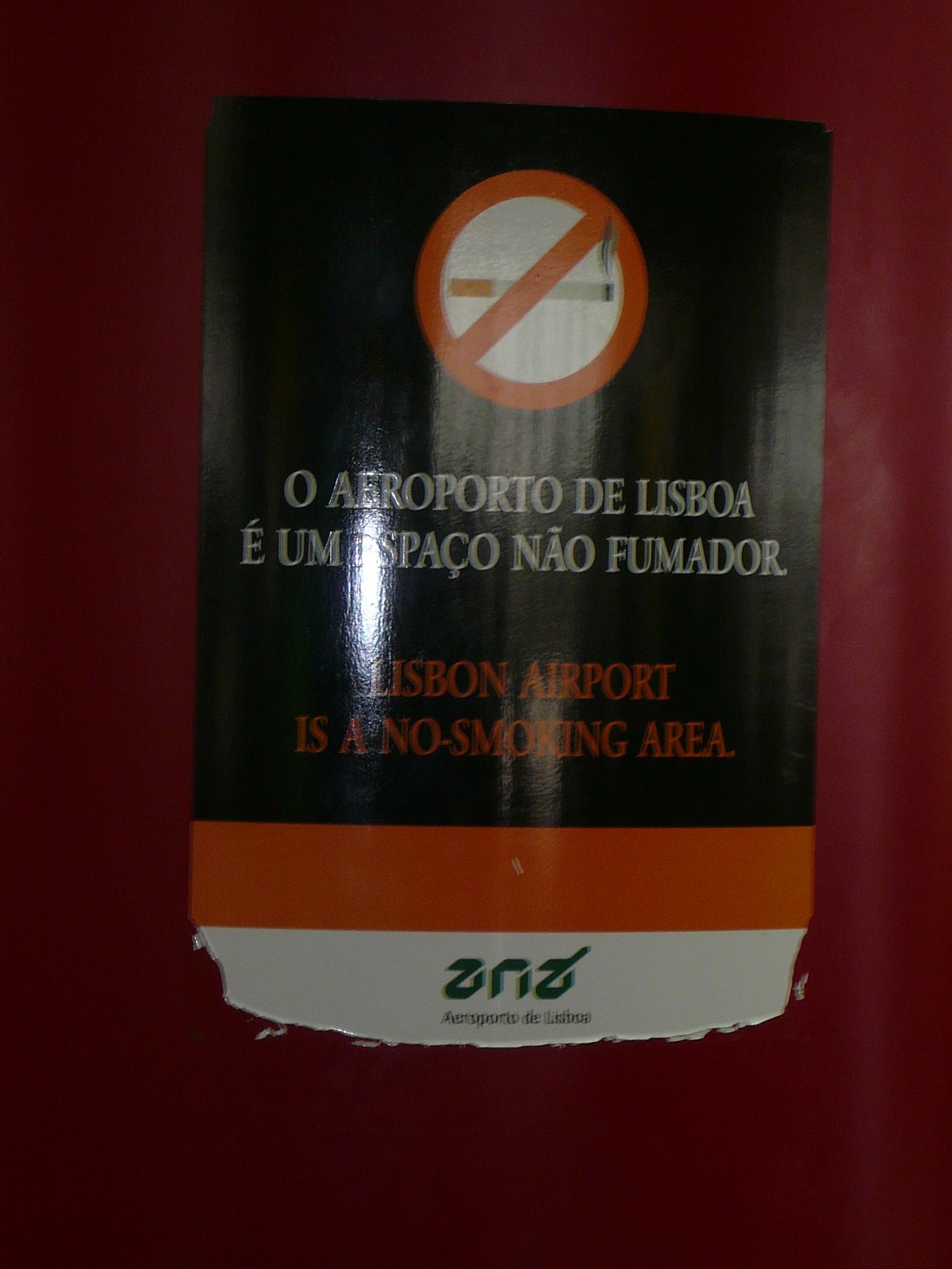 [P1000303.JPG]