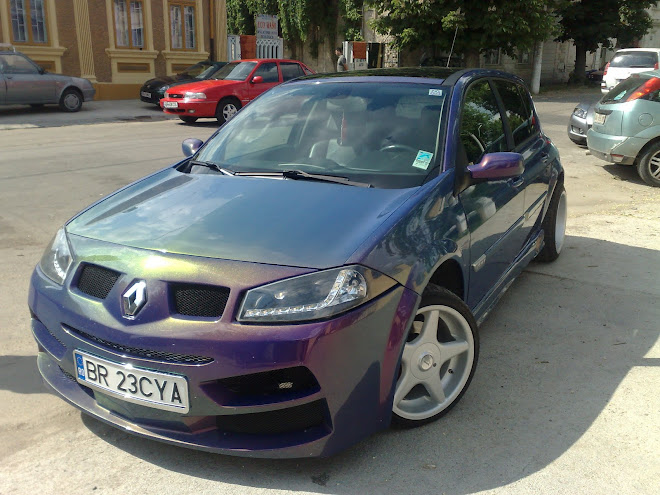 Renault Megane Cameleon