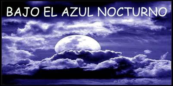 BAJO EL AZUL NOCTURNO