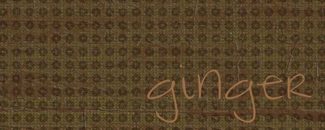 ginger
