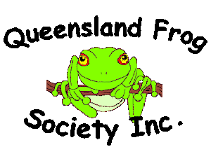 A Frog Society ?