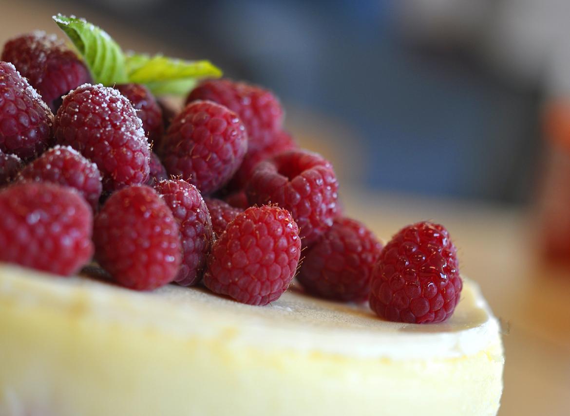 [Cheesecake2.jpg]