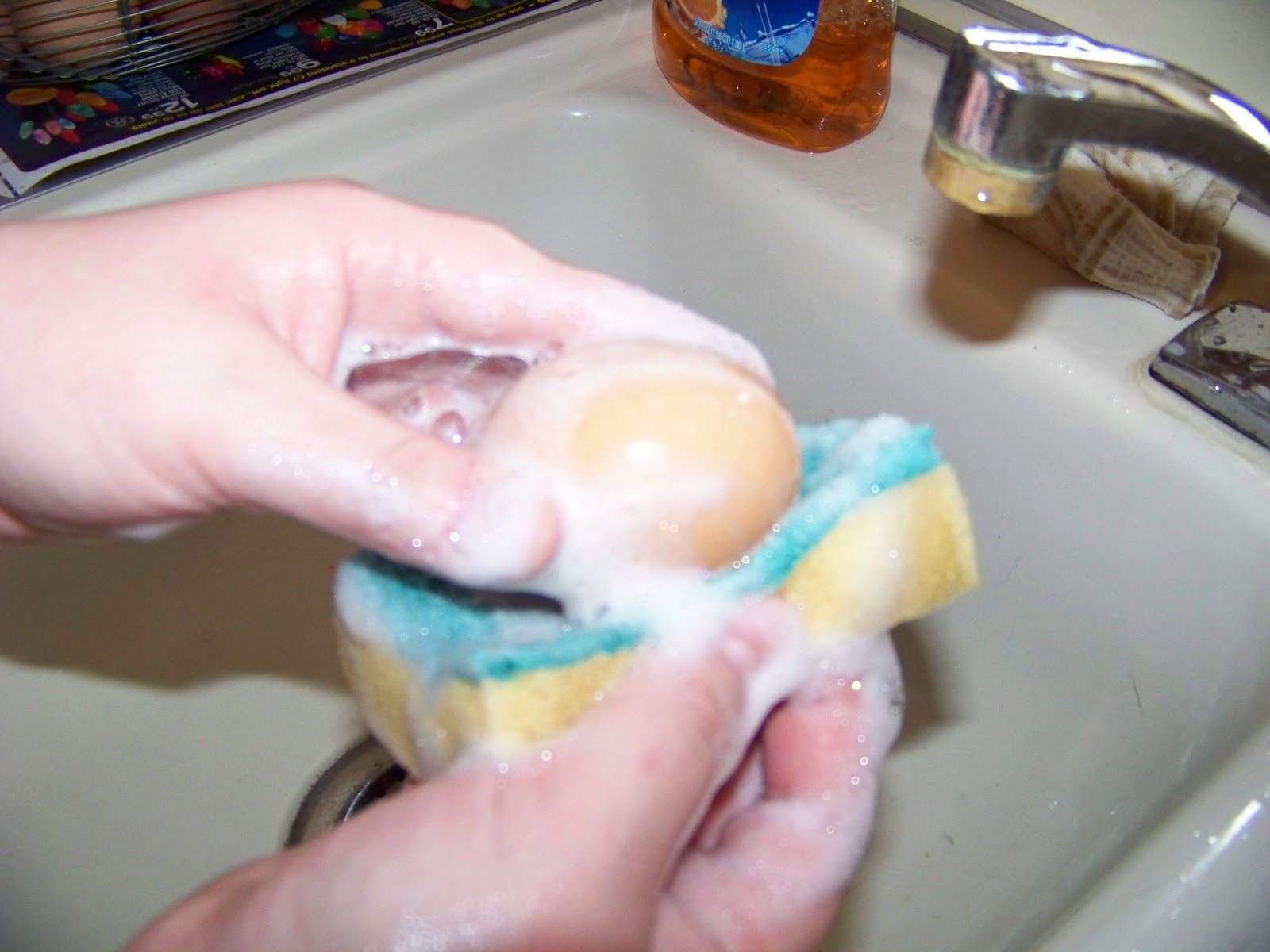 Iron Oak Farm How To Wash Eggs...Again