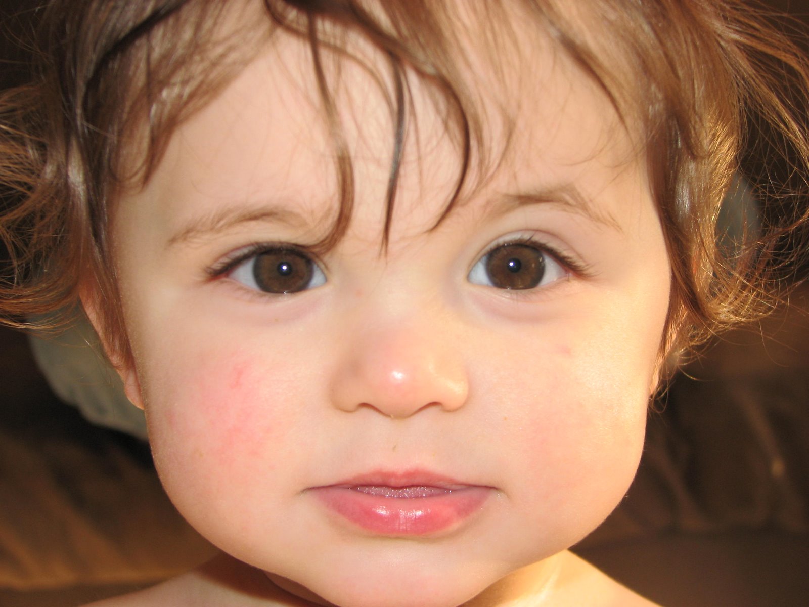 [2008-03-14066.jpg]