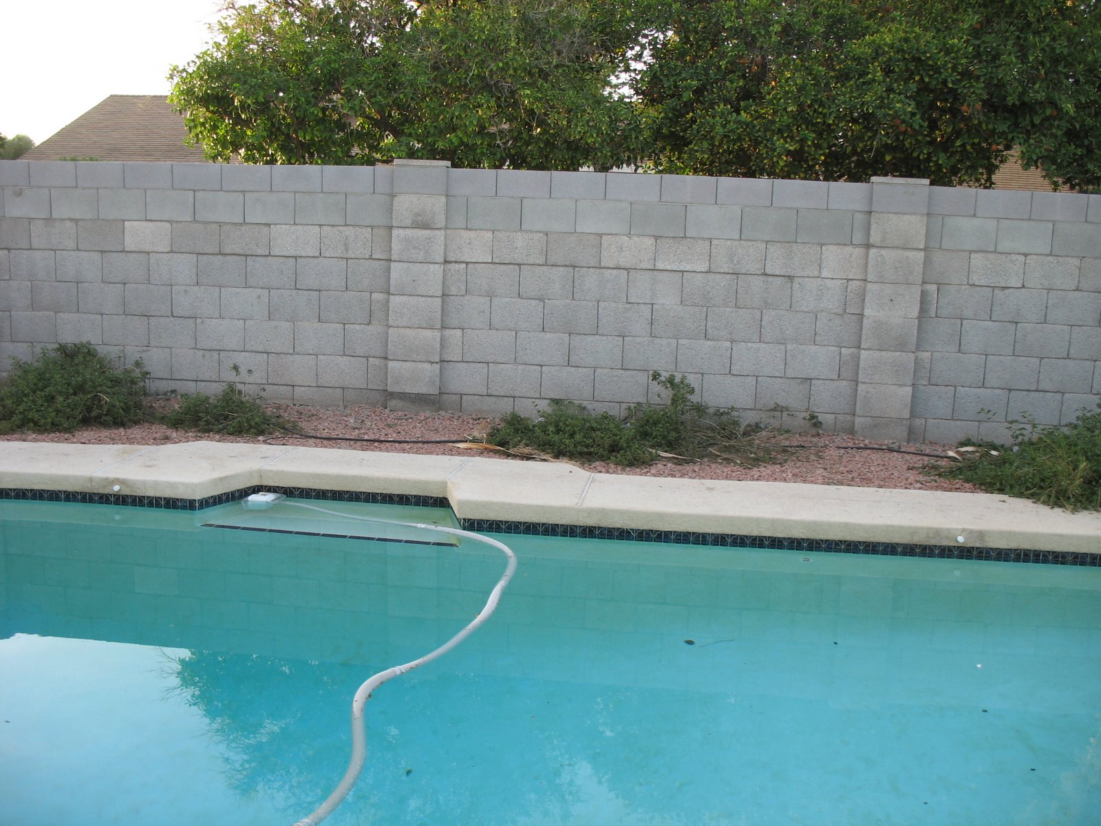 [before+backyardII.JPG]