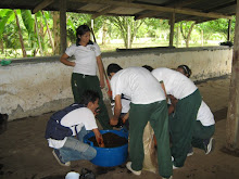 practicas agroecologicas