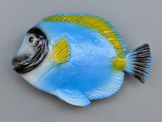 Ocean Fish Ocean Fish