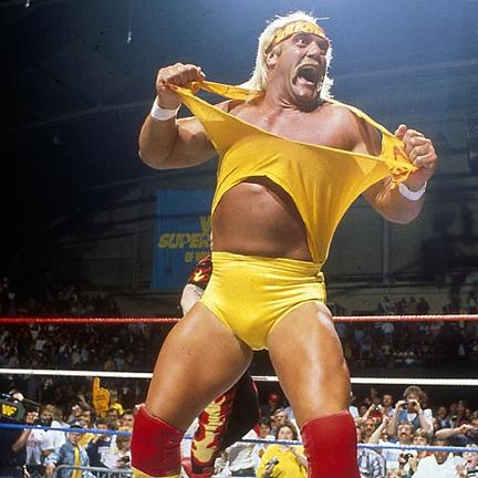 Eleccions generals Hulk-hogan000x0