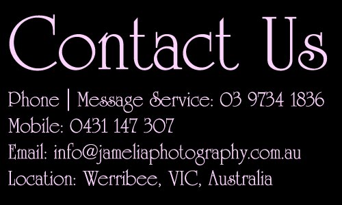 Contact Us