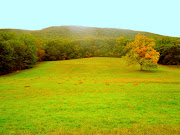 I also led a group up Mt. Washington, went on airplane flying lessons, . (odb )