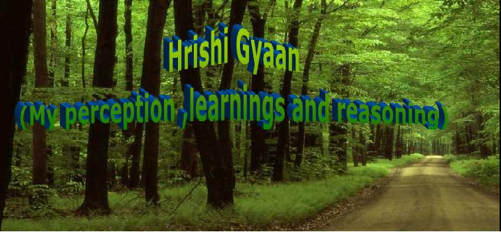 HrishiGyaan