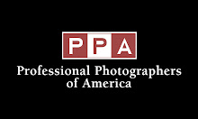 PPA MEMBER SINCE 2008