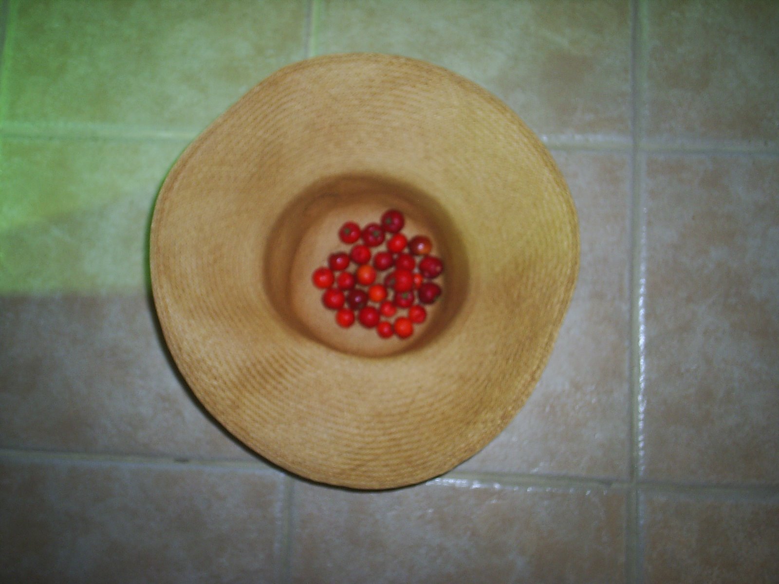 [saquarema+08_09069.JPG]