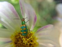 [477335-12899-200.jpg]