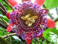 [529236-20414-200.jpg]