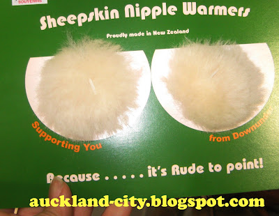 http://3.bp.blogspot.com/_Xie4M5ZZIew/SuTXZspqlZI/AAAAAAAACOE/DG6KPoBNykY/s400/Sheepskin+nipple+warmer+cp.jpg