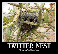 twitter nest