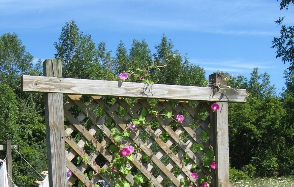 homespun living the trellis clothesline