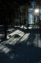 Magical Adirondack Light