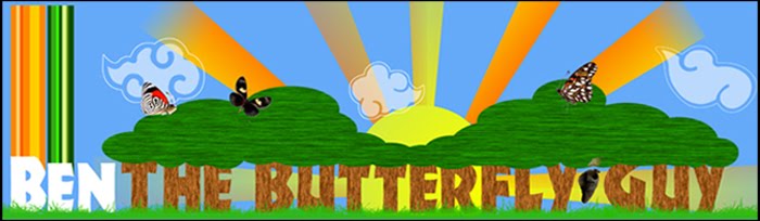 Ben the Butterfly Guy