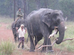 Corbett
