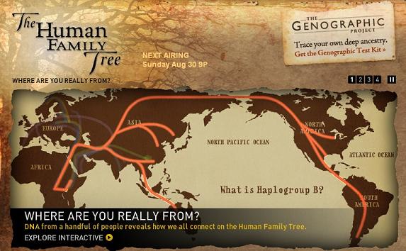 [The_Human_Family_Tree_small.JPG]