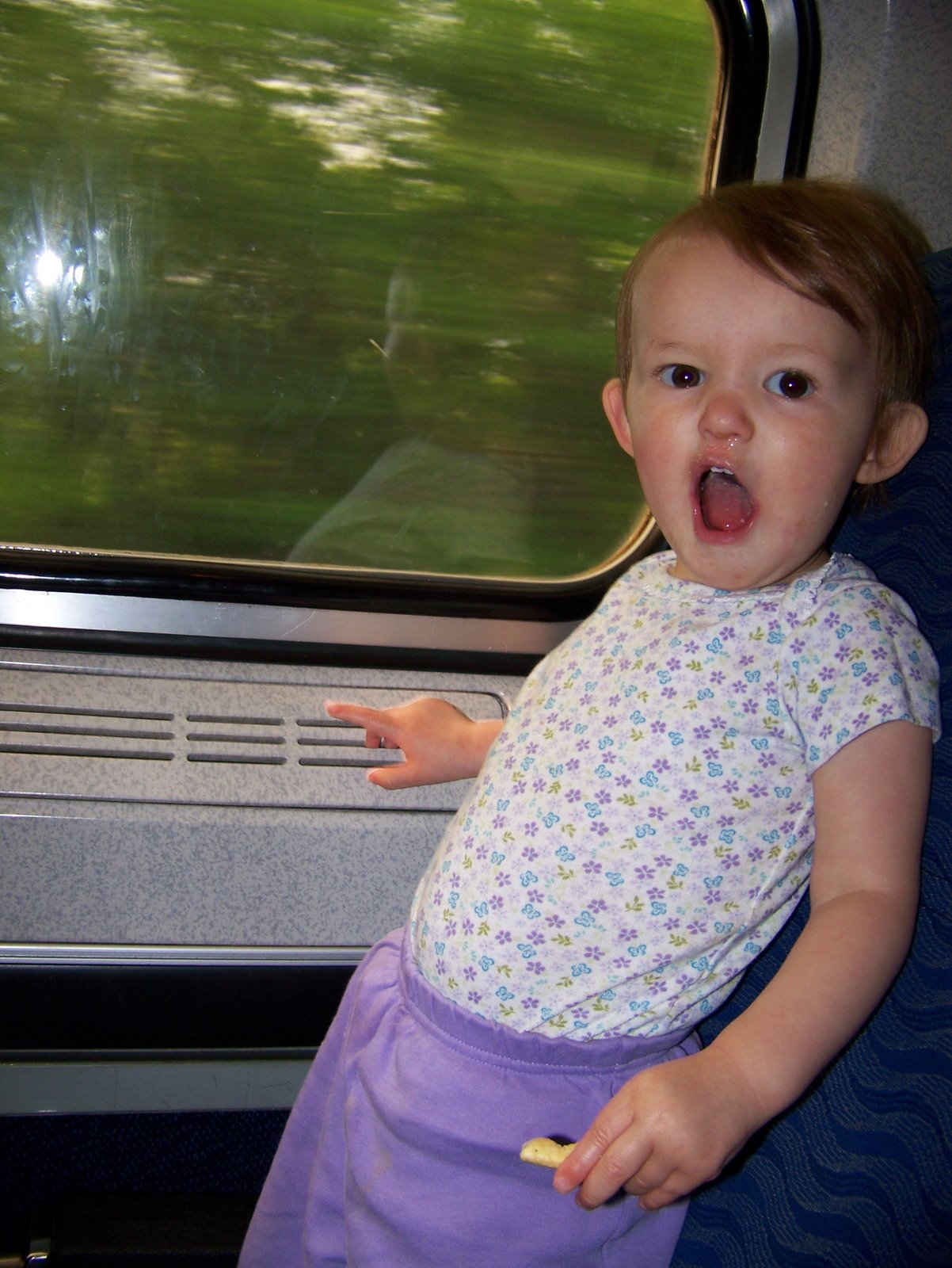 [ev+on+fast+train.JPG]