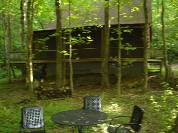 Ellijay Ga Cabin In The Mountains Blog Tree Removal Service