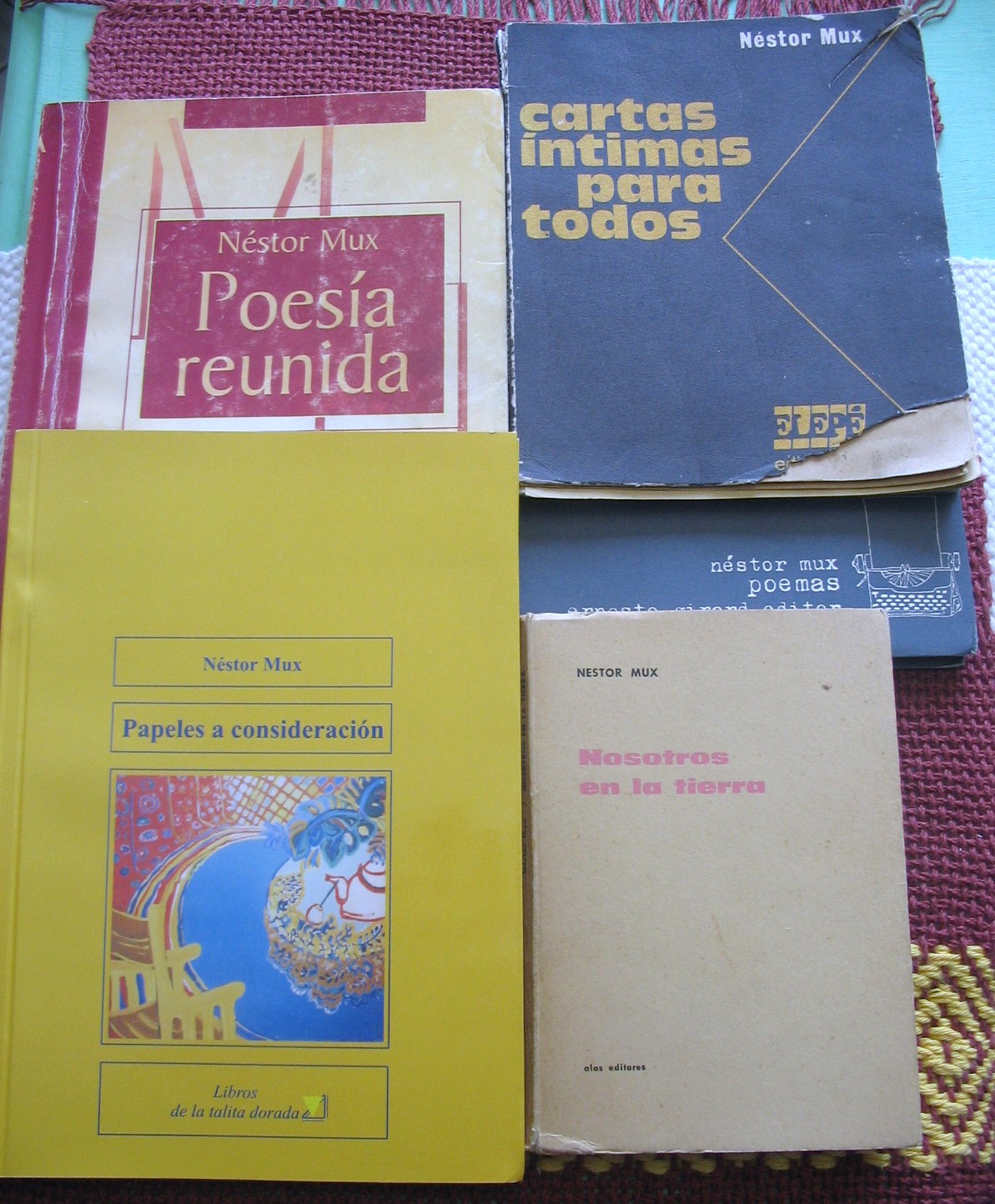 [MUX+Libros+tapas+(2).JPG]