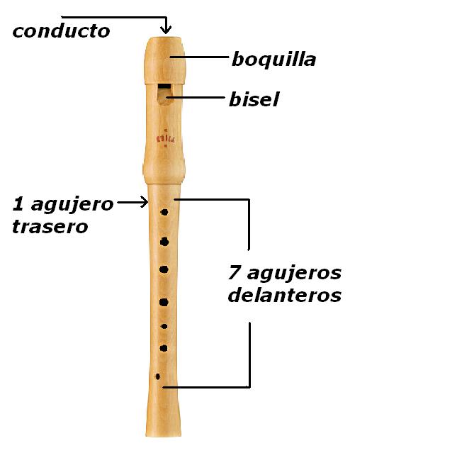 Artes Musicales San Agustín Partes de la flauta