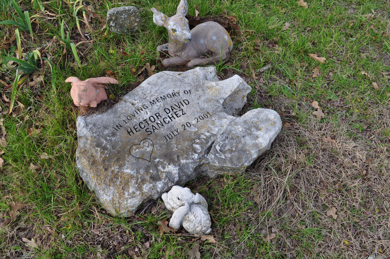 [Hector+David+004.jpg]