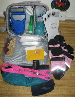 photo of Sophie's pack, unzipped and laid out