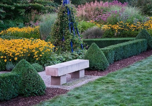 Country Gardener: Trimmed boxwood hedge: the finished product